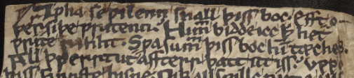 folio 3v of MS Junius 1